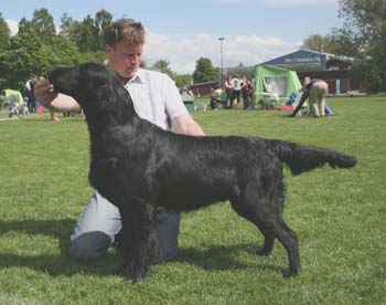 NO UCH NORD V-07 SE U(U)CH Branchalwood Aylancoll